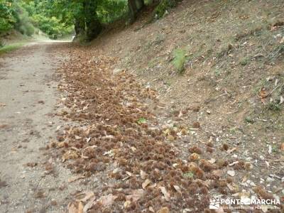 Las Médulas - Valle del Silencio - Herrería de Compludo;senderismo en invierno web senderismo